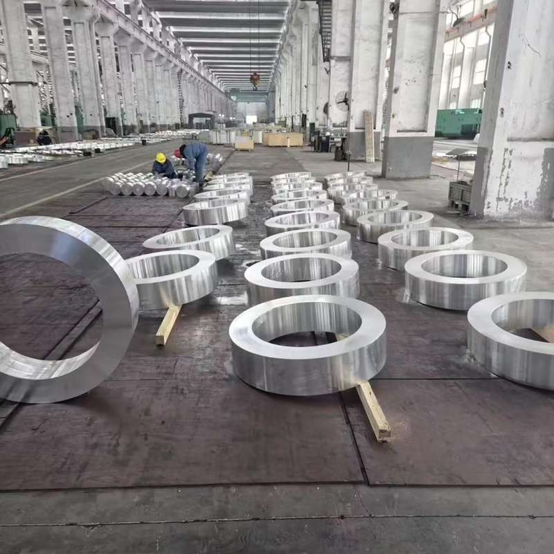 Additional view of Forged Flanges in Multiple Sizes